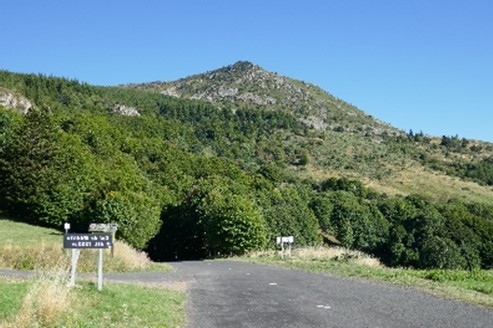 Picture1